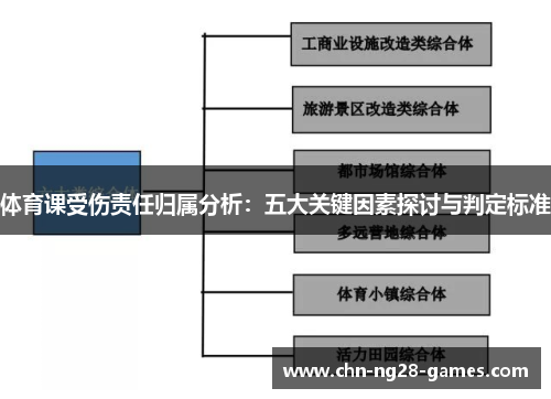 体育课受伤责任归属分析：五大关键因素探讨与判定标准