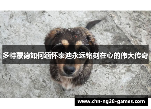多特蒙德如何缅怀泰迪永远铭刻在心的伟大传奇