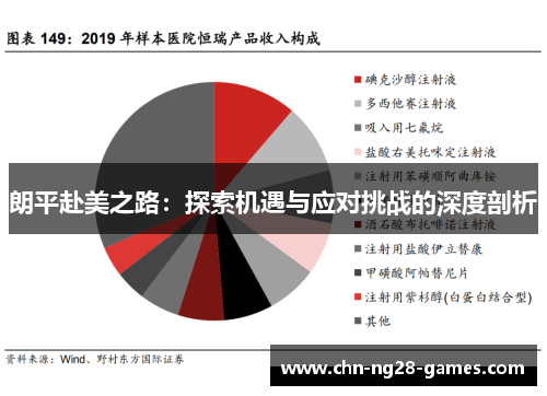 朗平赴美之路：探索机遇与应对挑战的深度剖析